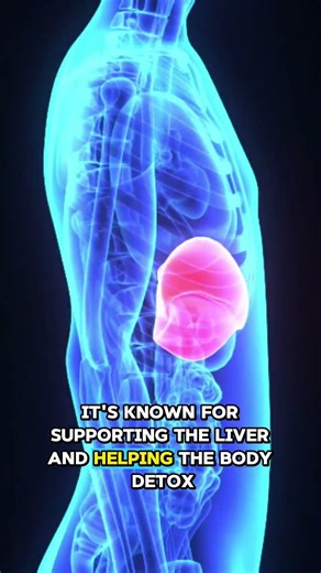 Burdock Root Benefits #herbalremedies #naturalhealing #herbalmedicine #plantmedicine #holistichealth