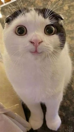 @dear_memeo on Instagram