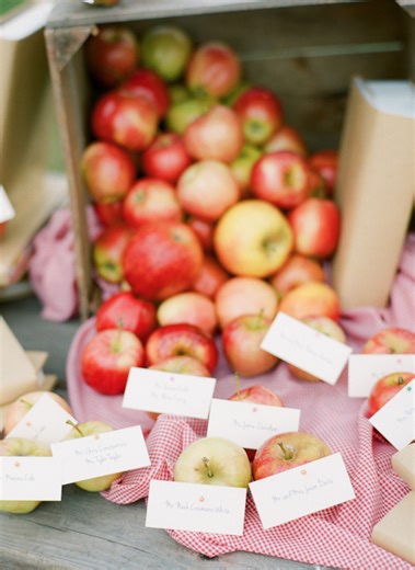 Apple themed wedding | Honestweddingadvice.com