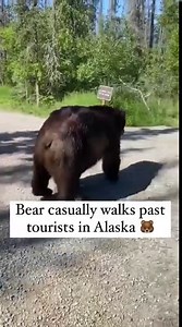 3.8M views · 11K reactions | Dele Alli's new celebration has got everyone giving it a go... How does he do it?! ️ | UNILAD | Facebook