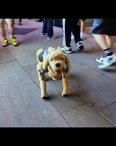 7.5K views · 367 reactions | ROBOTIC DOG... #robotics #ai #fyp | Laba_Hasnda | Facebook