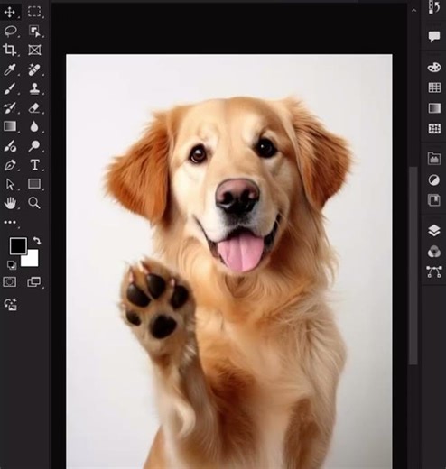 How to Remove Background in Photoshop (Step-by-Step Beginner Guide 2026)