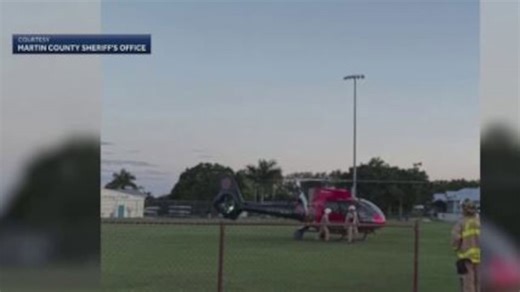 Woman attacked by alligator while swimming with her dog