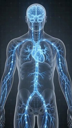 What Actually Happens When You Drink Water? 💧