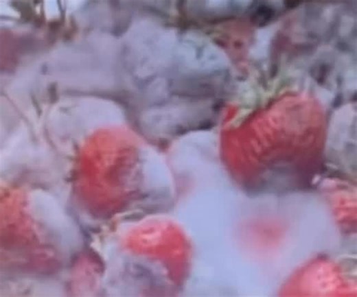 @gratefulforeyes on Instagram: "there is nothing that is ever truly lost. it all merely changes its mask. what you mourn as disappearance is simply motion beyond your current sight. the universe does not discard, rather it rearranges and aligns for you. you are not a thing meant to be kept. you are a pattern passing through awareness. u are here long enough to feel warmth and endure your aches and dream, but then reshaped into something new. the oceans do not cling to their waves. every moment y