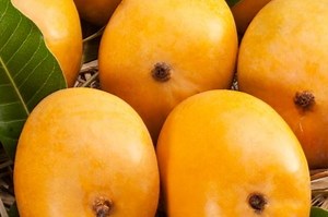 Goa in May 2026 — Top 6 Things To Do In Goa In May