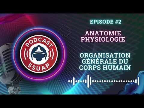 #2 : Anatomie et Physiologie – Organisation générale du corps humain