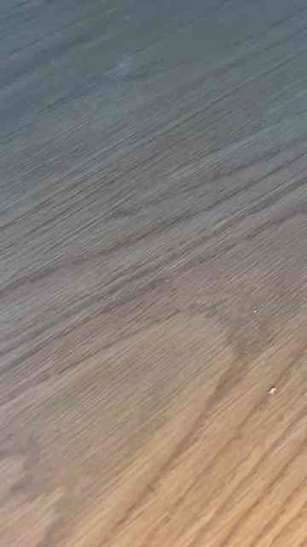 Amazon's Top Rated Smart Home Devices for 2024