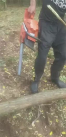 #fyp #tiktok #foryou #fypシ゚viral #fyp