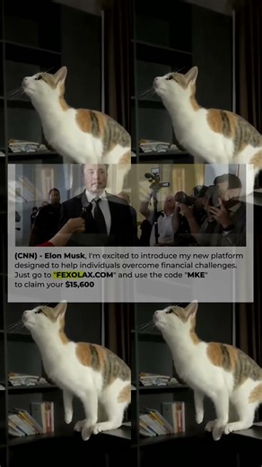 Tesla’s Cutting-Edge Solar Panels ☀️