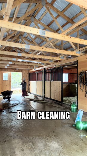 Finding Peace in Barn Cleaning