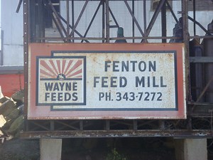 6 Things to Do While Waiting For Spring