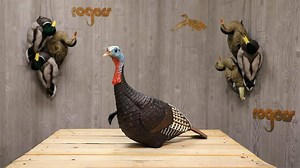Here's a DECOY with a GREAT MOTION SYSTEM GHG and their MOTION CONE provides excellent decoy movement. #decoys #turkeyhunting #rogerssportinggoods | Rogers Sporting Goods