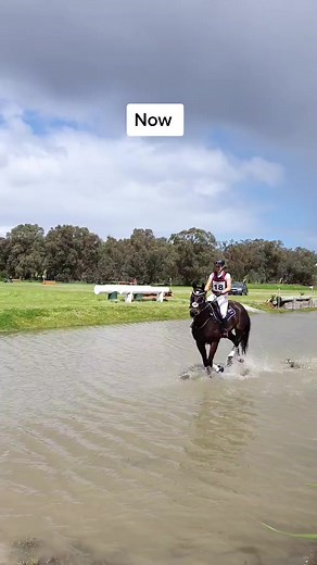 So proud of how far Enzo has come... what do you guys think? #horse #eventing #training #equestrian #horsegirl