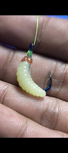 31K views · 94 reactions | Tutorial on How to Put Fishing Bait #fishing #mancing #fyp #tutorial #pengikut #semuaorang #sorotan #viral | Agus Subarna | Facebook