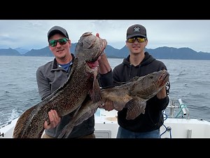 Alaskan lingcod, halibut and rockfish