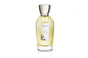 Salir Chanel No 5 Review Prices