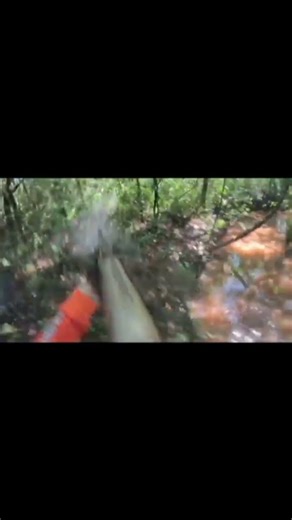 Three Shots Missed the Kill | Crazy Boar Hunt #wildboar #boarhunting #boar