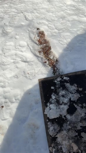 Thawing icy pipe because why not #narrowayhomestead #frozenpipes #aryahdog #winterstorm2026