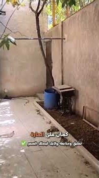 محضر 350متر 33دراع 3شقق وحديقة 0956851684