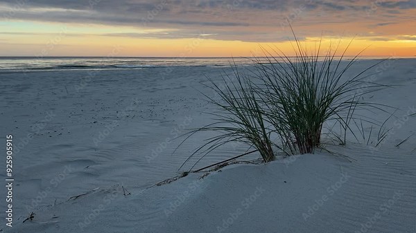 Beach on the Baltic Sea with dune grass in the morning at sunrise, 4k