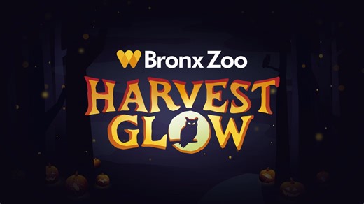 Our Harvest Glow pre-sale sold out, but we rummaged around in our Jack O’ Lanterns and discovered a few more pre-sale tickets, so there’s still a chance to nab the best deal of the year on the re-imagined nighttime family-friendly fall spectacular coming to the Bronx Zoo on Thursday through Sunday evenings from September 25 through October 31. Harvest Glow is a Halloween experience perfectly designed for kid-friendly fun and peace of mind for parents, as you explore the vast animal-themed illumi