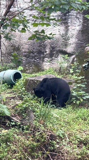 Taiwan moments with my favorite Taiwanese OST from my high school era… before K-pop/Kdrama took over 🎶✨🇹🇼😅 E-upload sa Facebook pang memories 😃 Disclaimer: No copyright infringement intended, the music used belongs to its rightful owner. | Catherine Ramirez