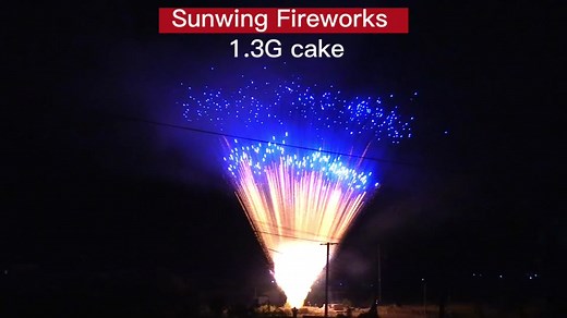 Sam Sunwing on TikTok