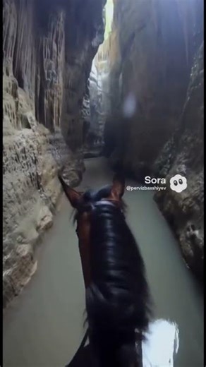 Mystical Cave Ride: A Journey Through Nature’s Hidden Path