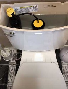 Kohler Elmbrook Toilet Reviews 2025: Should You Have It?