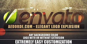 Elegant Logo Explosion
