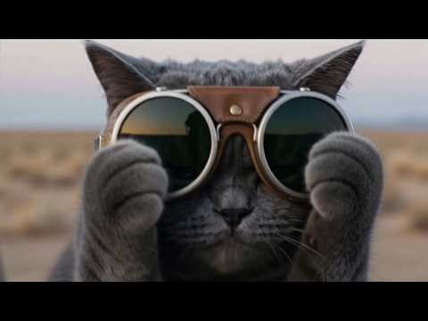 Richard L EP5: Surely You're Joking, Mr. Feynman！#richardl #feynman #cat #heterochromiacat #history