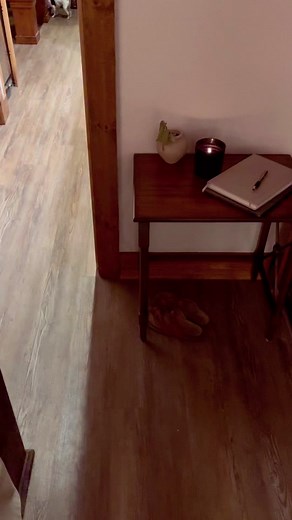 #barn #stables #horse #horses #reininghorse #texas #ranch #ranchlife #horsetraining #reining #cowboy #cowgirl #horsesoftiktok