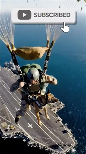 K9 elite Green light too deploy skydiving