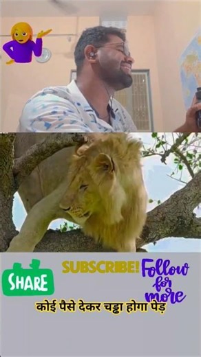 Pair Par Fasgaya Dayaram #funny #shorts #trendingshorts #viralshorts #funnycat #pets #funnyreel