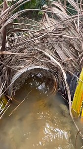take a look at this fish trap and the installation process #fyp #fypviral #videoreels #fish #jangkauan #tradingcards | Fahren Farori
