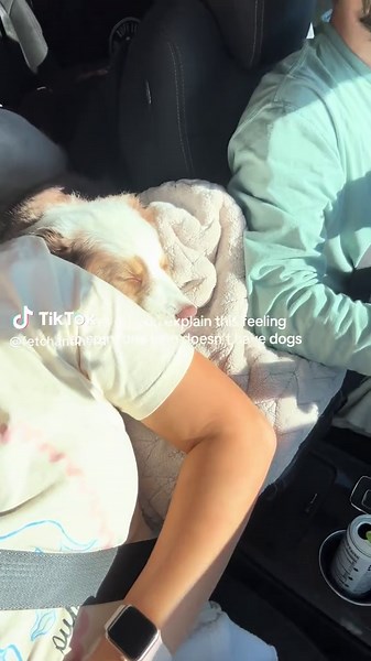 It feels like heaven when they choose to be next to you when they are in their most vulnerable state 🥹☁️✨ #cutepuppy #australianshepherdpuppy #aussiepuppy #rescuepuppy #dogmomlife