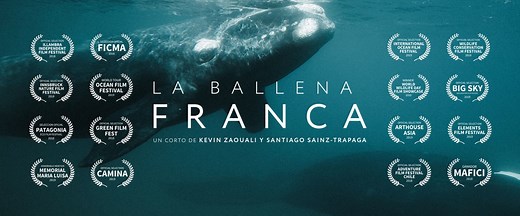 La Ballena Franca