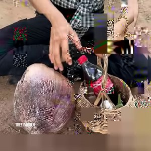 220K views · 4.4K reactions | Brilliant idea _ How to grow coconut in plastic pot for beginners | Tree Garden | Facebook