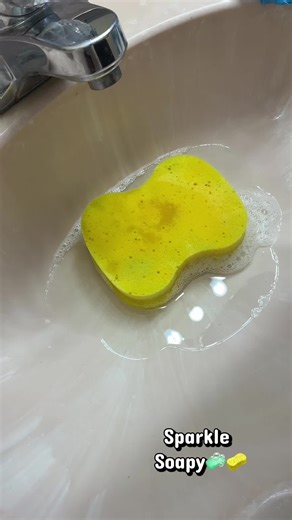 Satisfying Sponge Squeeze ASMR