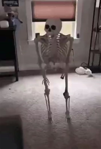 Funny Skeleton Discord Memes Compilation