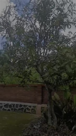 #fyp #bike #mtb #exotic