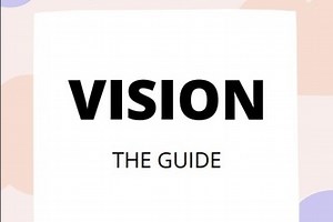 VISION-THE GUIDE