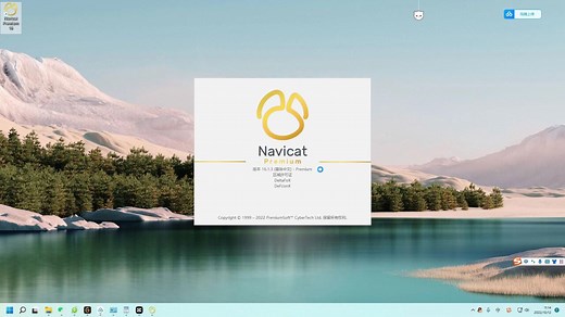 Navicat Premium 16.1.3版本下载安装教程