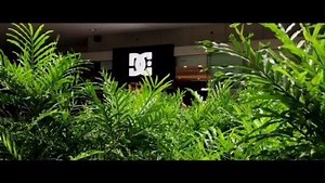 4.5K views · 536 reactions | Only the highest quality footwear and apparel from DC. Visit your local DC Store now! Featured store: DC SM Mall of Asia Filmed and Edited by Jay Ar San Juan Click here to watch more of his work: https://bit.ly/3iBRyEv | DC Shoes | Facebook