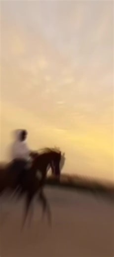 ‏#الكويت🇰🇼 #خيل_وخياله🐎 #الخيل_من_خيالها #جبد