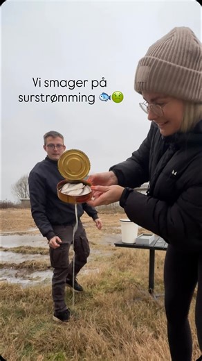 Online Vægttabs Coach ♡ on Instagram: "Vi smager på surstrømming 🐟🤢 Hvordan synes i vi klarede det? 🤣🤣🤣 Og hvad skal vi smage næste gang? #surstrømming #surströmmingchallenge #surströmming #challenge #føj"