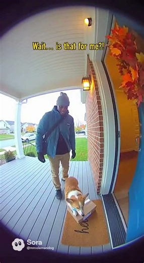 door bell footage day 1 #shorts #funny #doorbellcam #ai