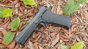 Gun Review: SIG P210 Carry - The Truth About Guns