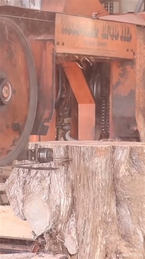 173K views · 108 reactions | DIY Live Edge Cake Stand | Modern Builds | Facebook